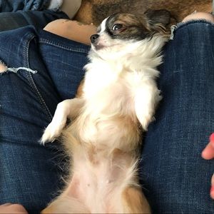 Meet your Posher, Cindy